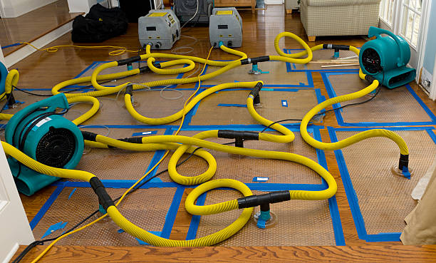 Professional Flood Damage Restoration technician working in Finleyville, PA